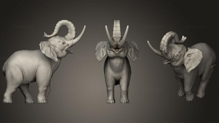 Статуэтки животных (Elephant Stl, STKJ_1701) 3D модель для ЧПУ станка
